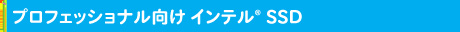 プロフェッショナル向け Intel® SSD